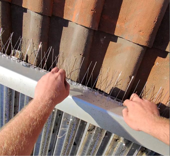 Bird-proofing mesh being fitted around the edge of a rooftop solar panel array
