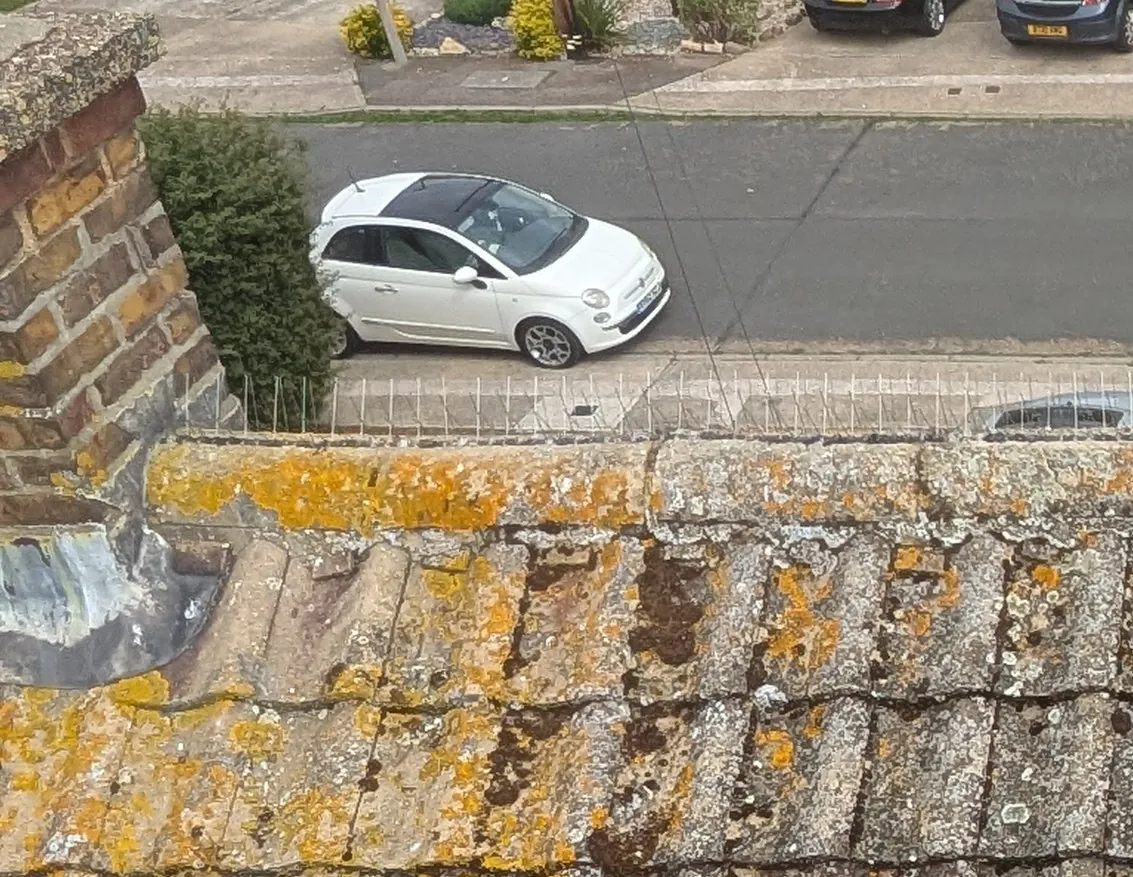 Bird spikes fitted along a lichen-covered ridgeline above a residential street