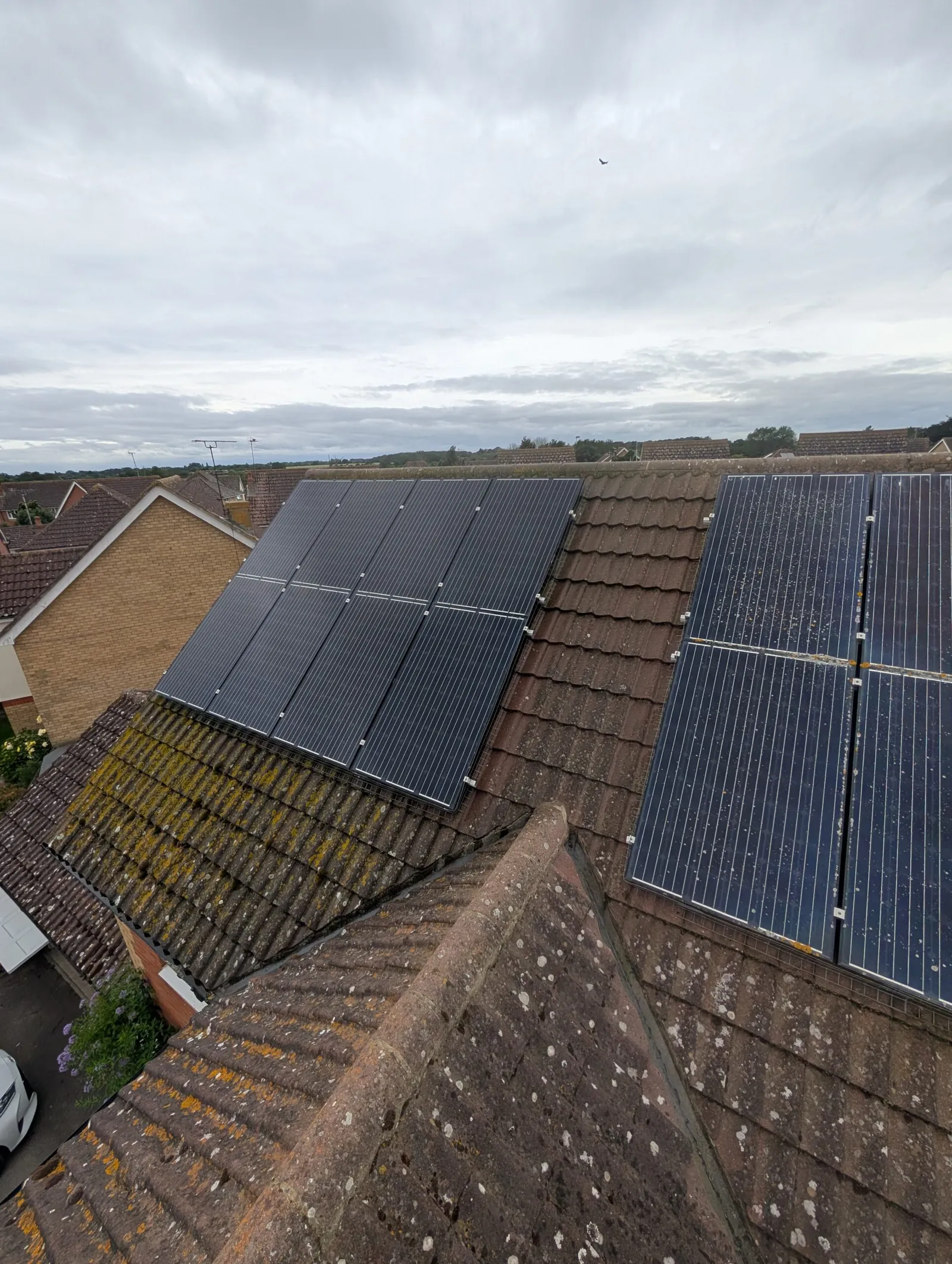 Two arrays side by side — the freshly cleaned panels on the left against the soiled panels on the right